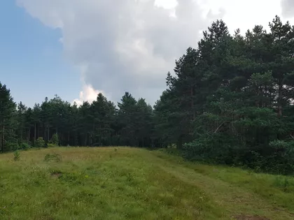 Žujanova | 4zida.rs