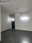 Lokal | 4zida