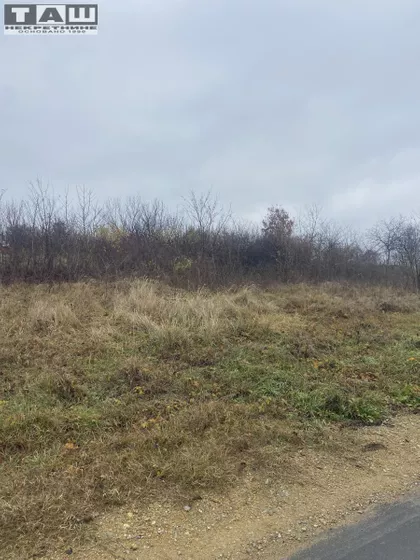 Vinogradi | 4zida.rs