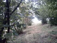 Poljoprivredno zemljište | 4zida
