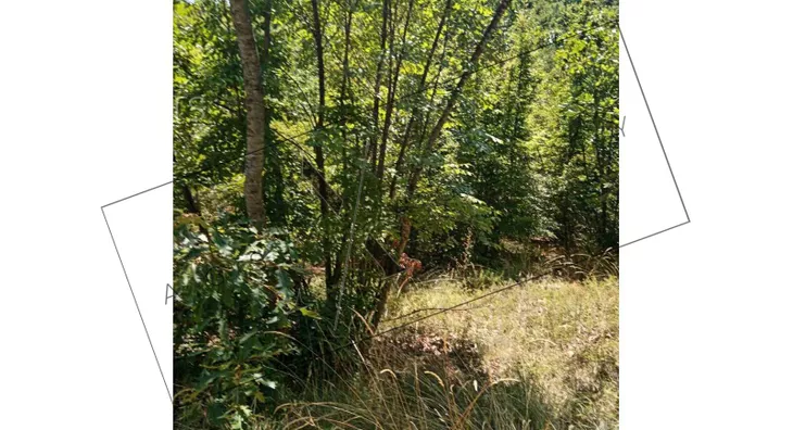 Poljoprivredno zemljište | 4zida