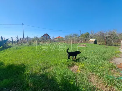 Čortanovci | 4zida.rs