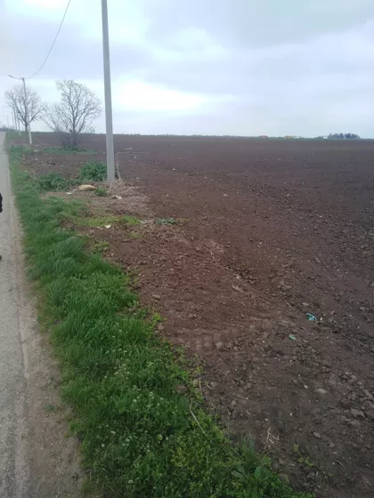 Široki Put | 4zida.rs