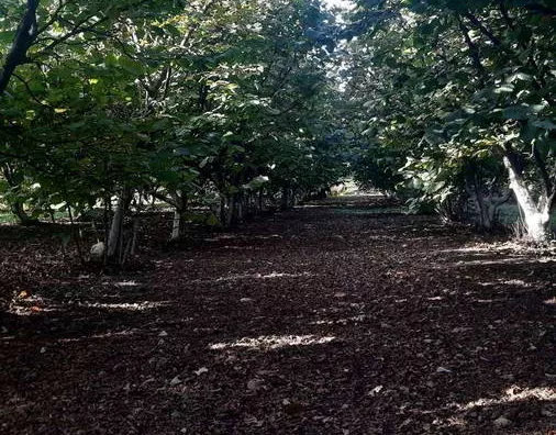 Turistički objekat | 4zida