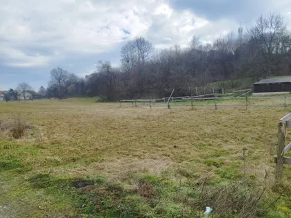 Toše Apotekara | 4zida.rs