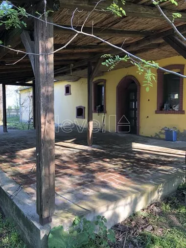 Čenej