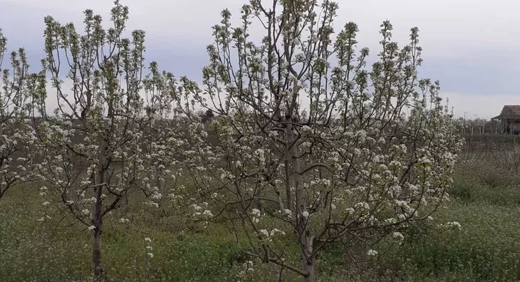 Poljoprivredno zemljište | 4zida