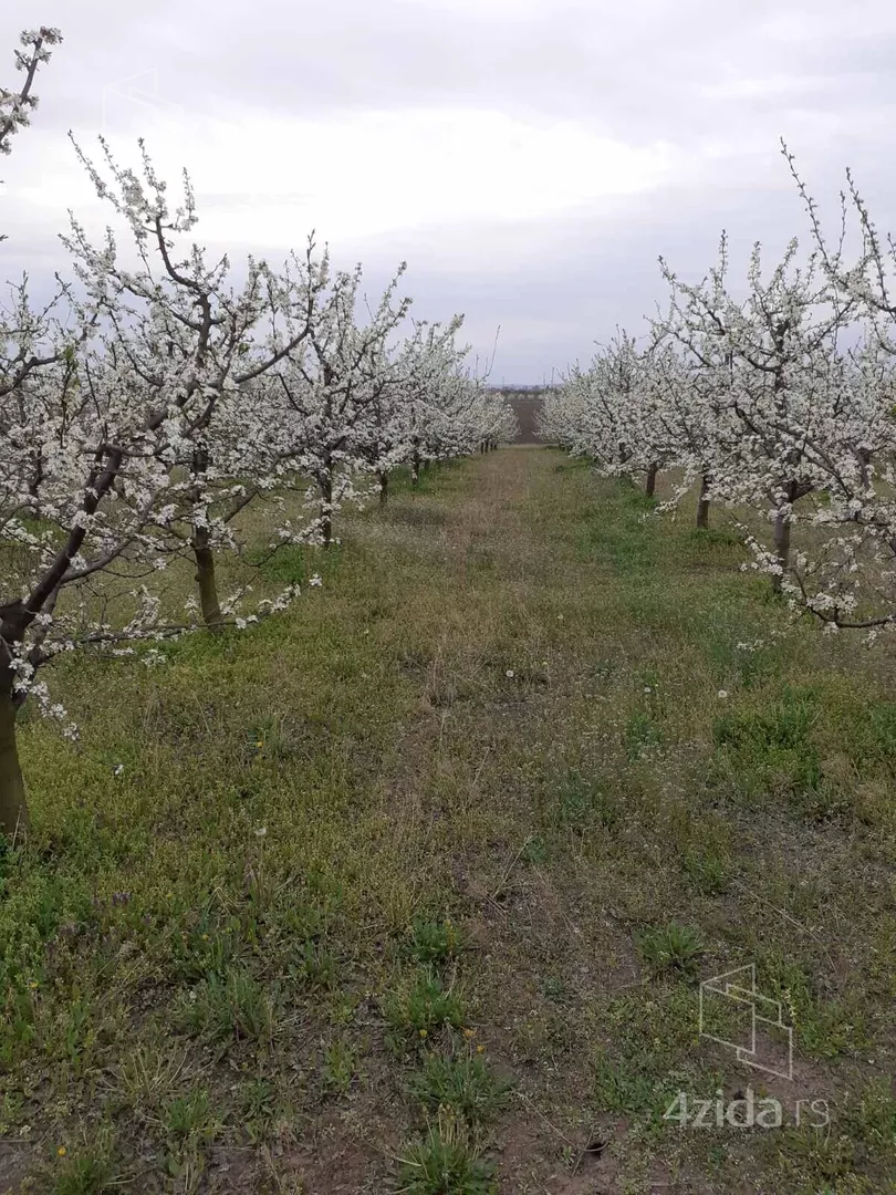 Poljoprivredno zemljište | 4zida