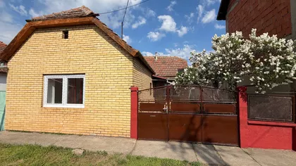 Mužlja | 4zida.rs