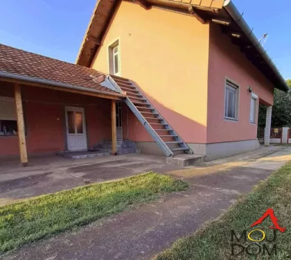 Čenej | 4zida.rs