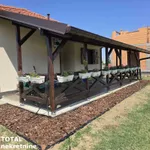 Inđija, Okolne lokacije, Čortanovci | 4zida.rs | 4zida.rs