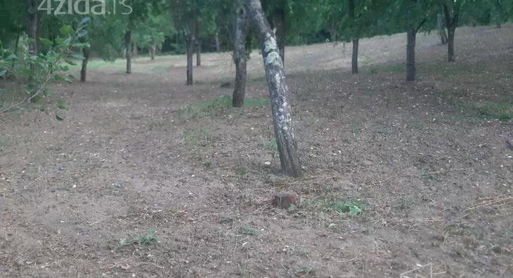 Poljoprivredno zemljište | 4zida