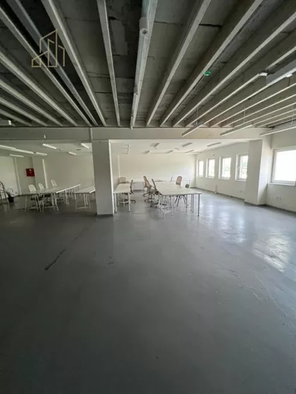 Darvinova pošta | 4zida.rs