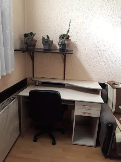 Janka Veselinovića | 4zida.rs