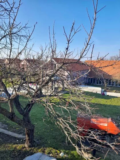 19. oktobra | 4zida.rs