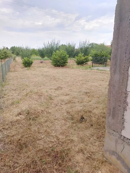 Pasi Poljana | 4zida.rs