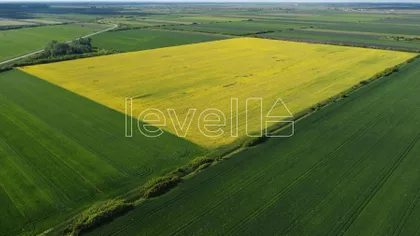 Srpski Krstur | 4zida.rs