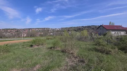 Sremska Kamenica | 4zida.rs