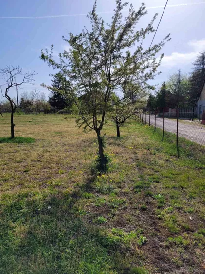 Darinke Radović 3 | 4zida.rs