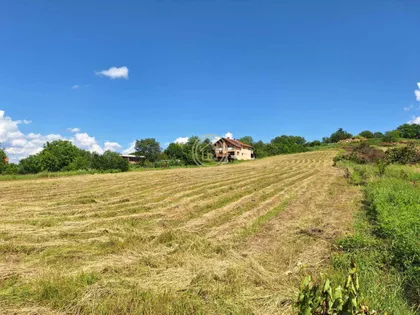 Alibegovac | 4zida.rs