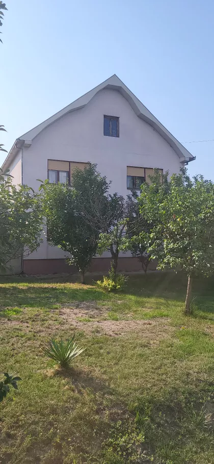 Sime Šolaje | 4zida.rs