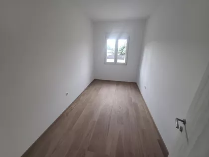 Salajka | 4zida.rs