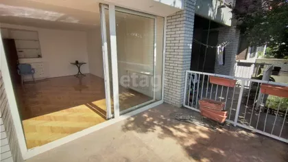 Ulofa Palmea | 4zida.rs