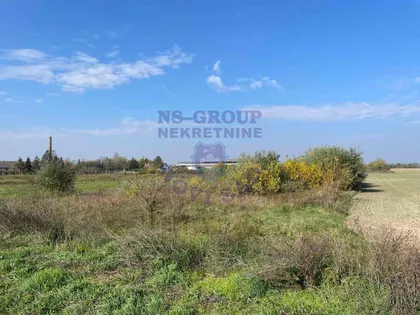 Novosadski Put | 4zida.rs