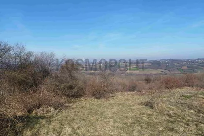 Milosava Đorića Zoke | 4zida.rs