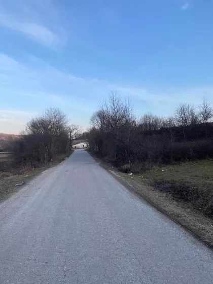 Velike Pčelice | 4zida.rs