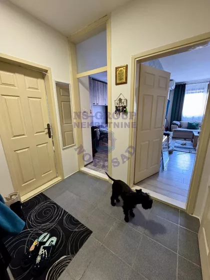 Nova Detelinara | 4zida.rs