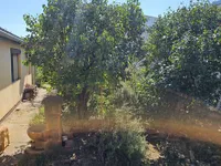 Žitni Trg, Gradske lokacije, Zrenjanin | 4zida.rs