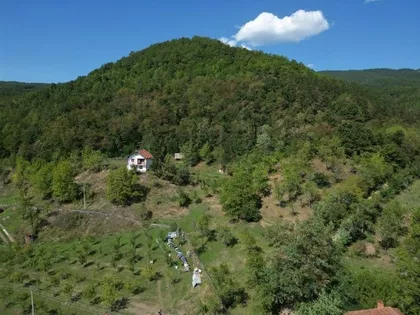 Peselja | 4zida.rs