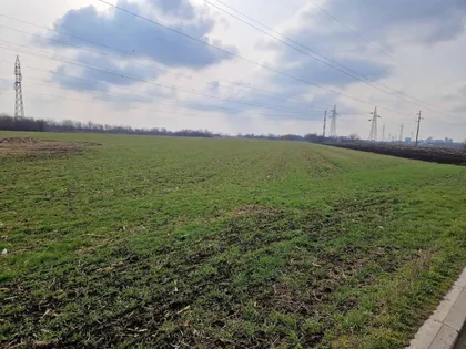 Zeleno Polje | 4zida.rs