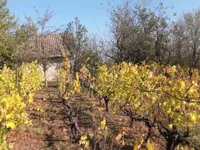 Miloševo, Okolne lokacije, Jagodina | 4zida.rs