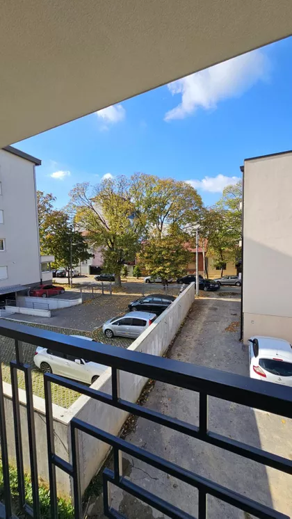 Cara Dušana | 4zida.rs