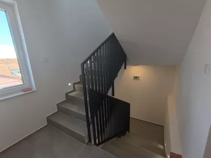 Južni Telep | 4zida.rs