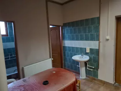 Temišvarski Drum Bb | 4zida.rs