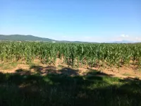 Vrtište, Okolne lokacije, Niš | 4zida.rs