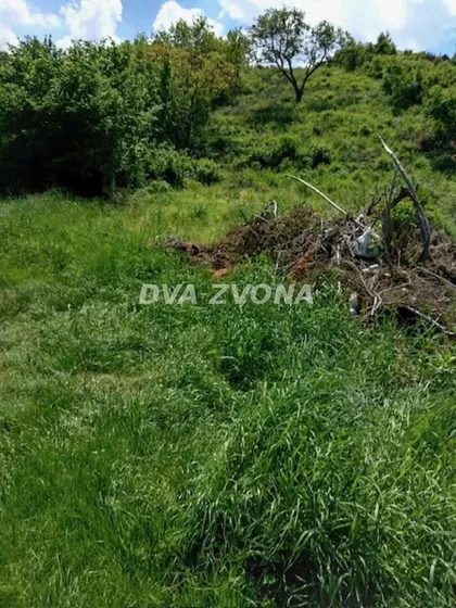 Čortanovci | 4zida.rs