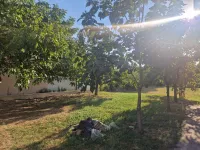 Čerević, Okolne lokacije, Beočin | 4zida.rs