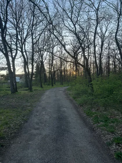 Karagačka 132 | 4zida.rs