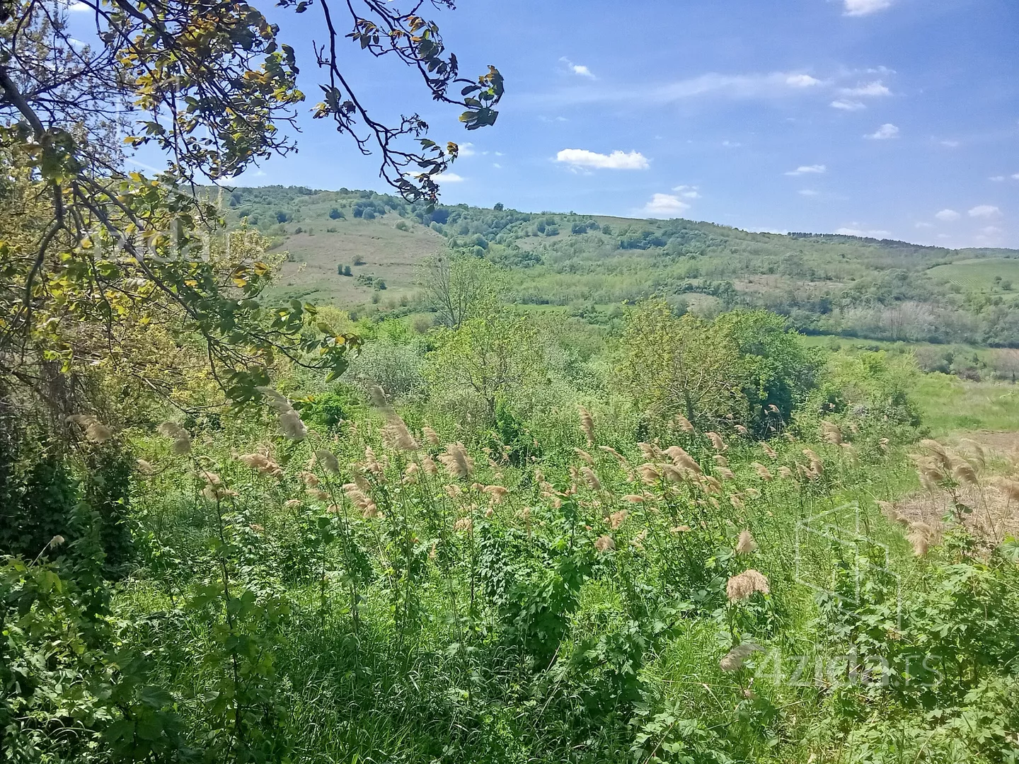 Poljoprivredno zemljište | 4zida