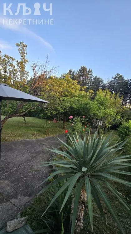 Park Jezero | 4zida.rs