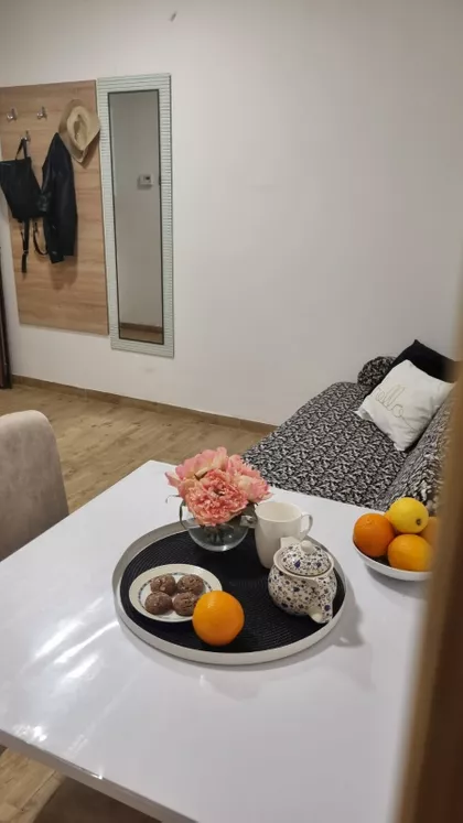 Lazara Gojkovića | 4zida.rs