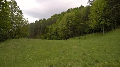 Mitrovo Polje | 4zida.rs