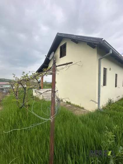 Čerević | 4zida.rs