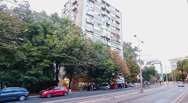 Vojvode Stepe