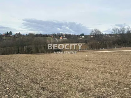 Ljubivoja Živanovića | 4zida.rs