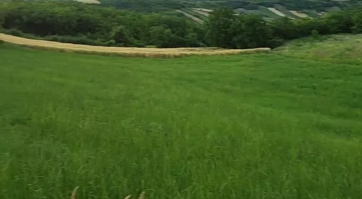 Poljoprivredno zemljište | 4zida